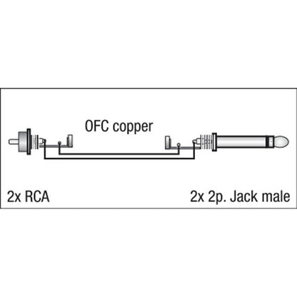 DAP FL23 2X JACK NAAR 2X RCA 150CM